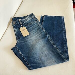 Express Size 32 X 30 Relaxed Fit Blue Denim Pants Jeans